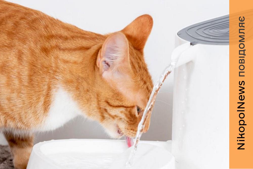 Аварія: у Нікополі 21 лютого відключили воду в одному з районів 1 у Нікополі 21 лютого відключили воду в одному з районів