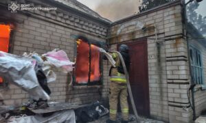 у Нікополі 2