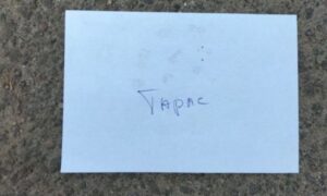 у Нікополі 2