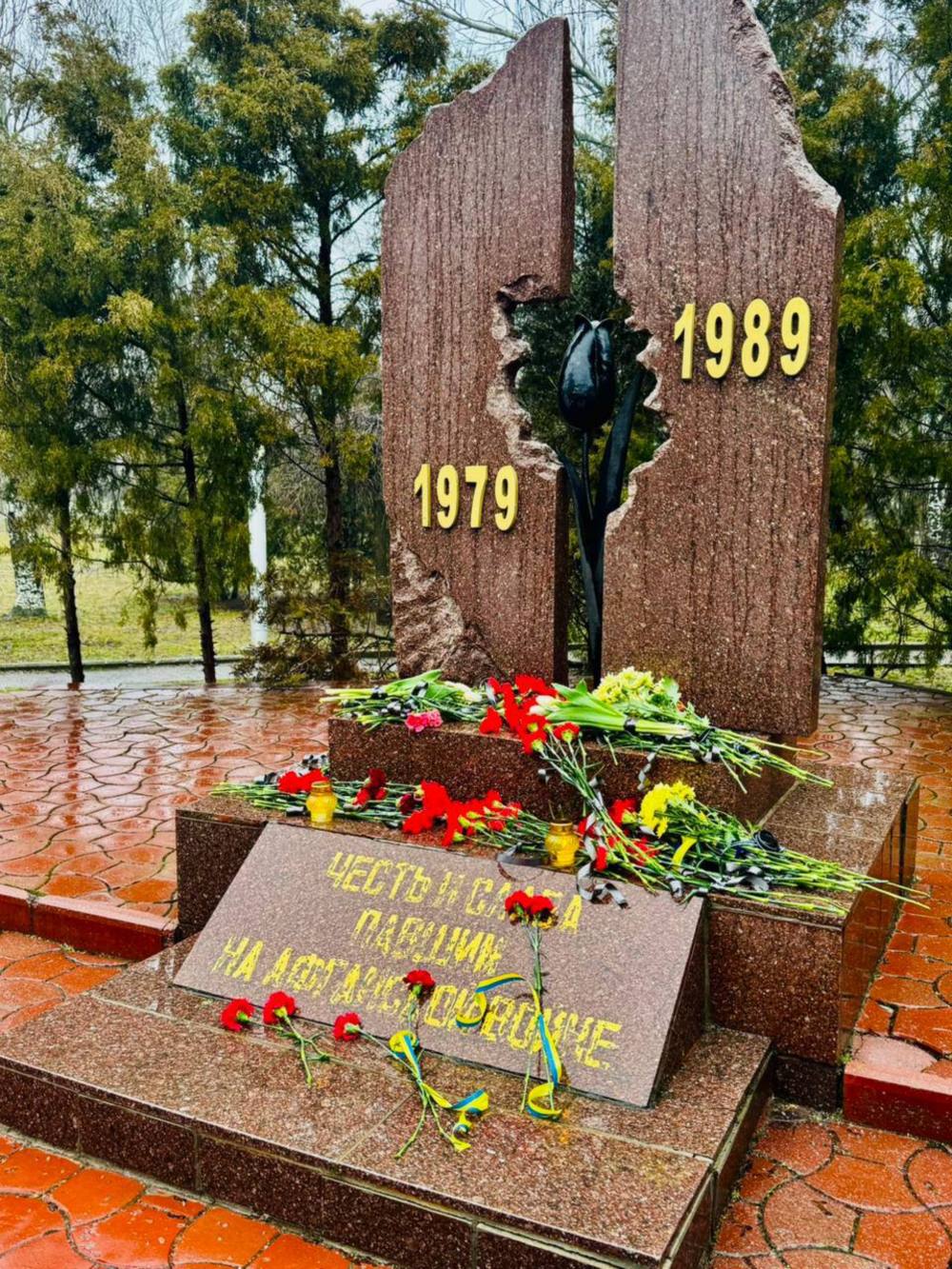 у Нікополі 2