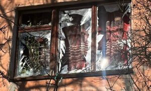 у Нікополі 6