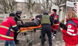 у Нікополі 6