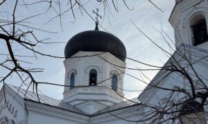 у Нікополі 8