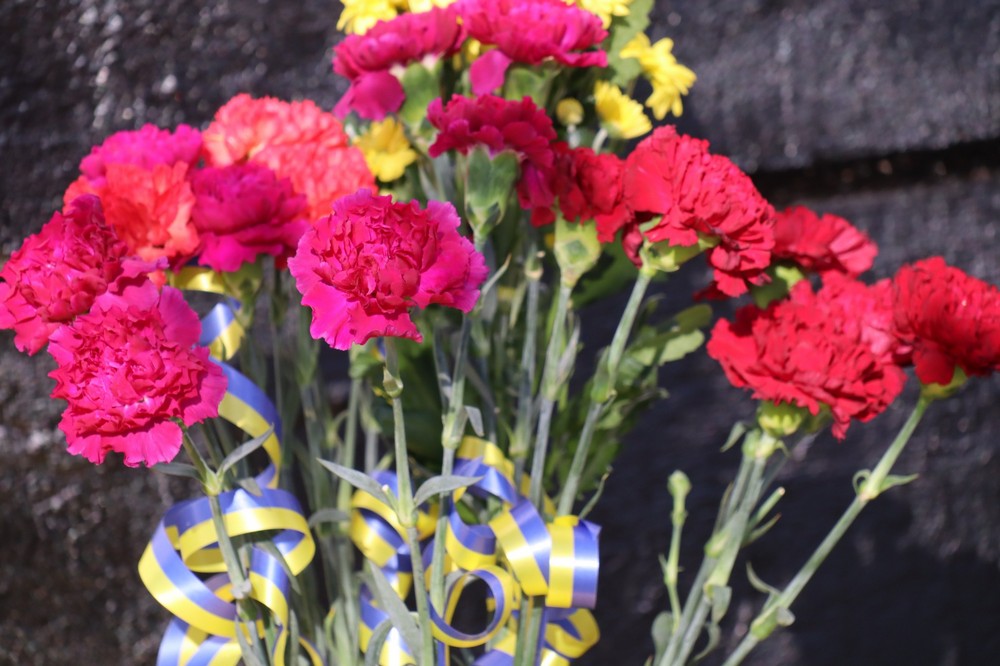 у Покрові 10