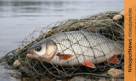 У Нікополі судили двох рибалок-браконьєрів: доведеться заплатити майже 250 000 грн