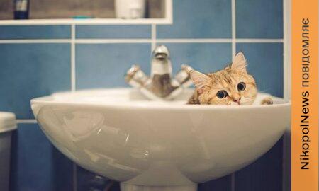 Аварія: у Нікополі 6 лютого відключили воду в одному з районів