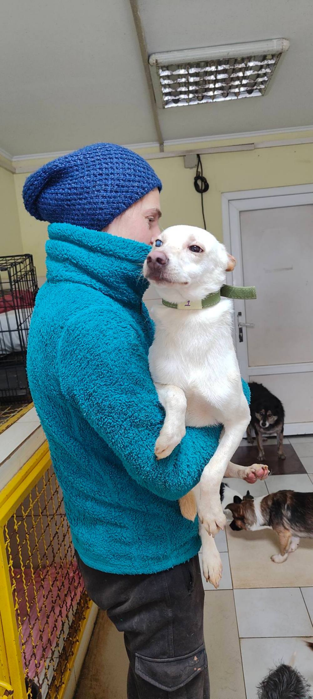 з Нікополя 14