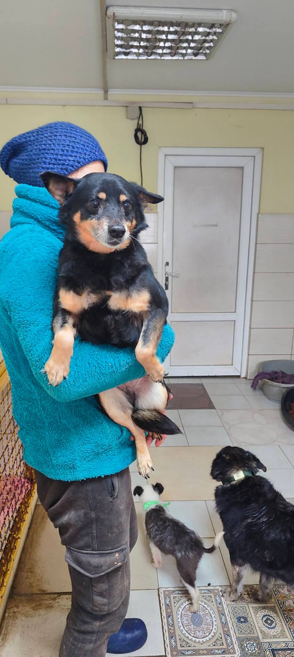 з Нікополя 15