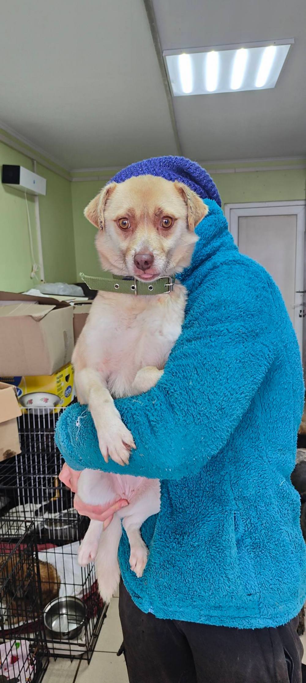 з Нікополя 16