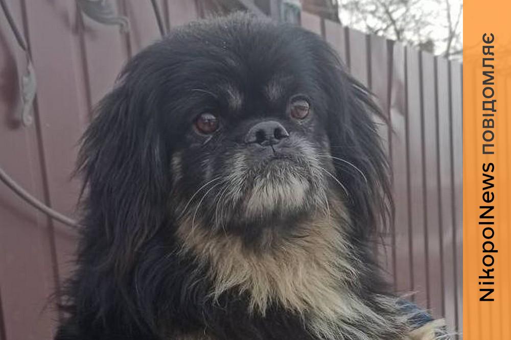 з Нікополя 3