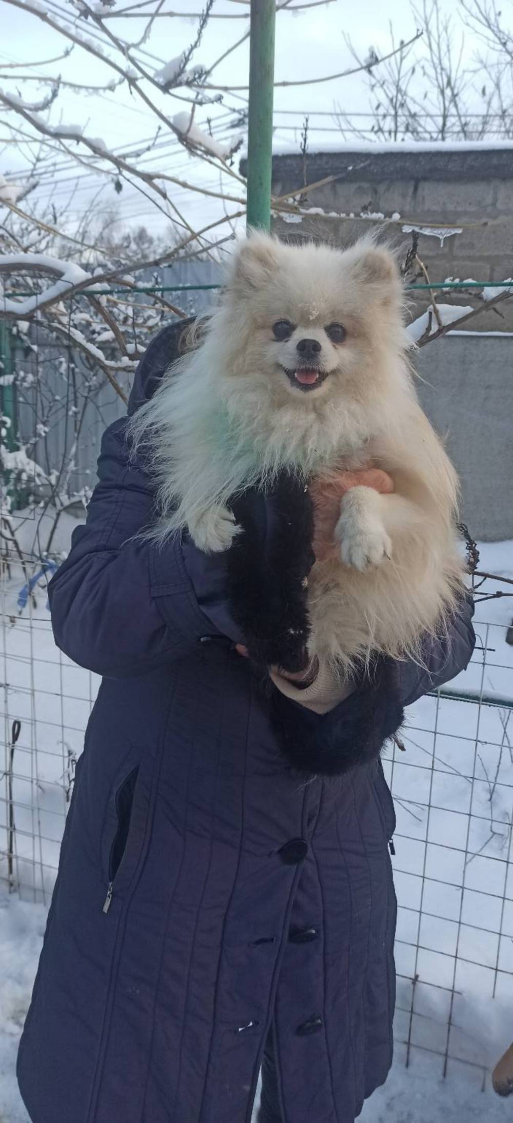 з Нікополя 4