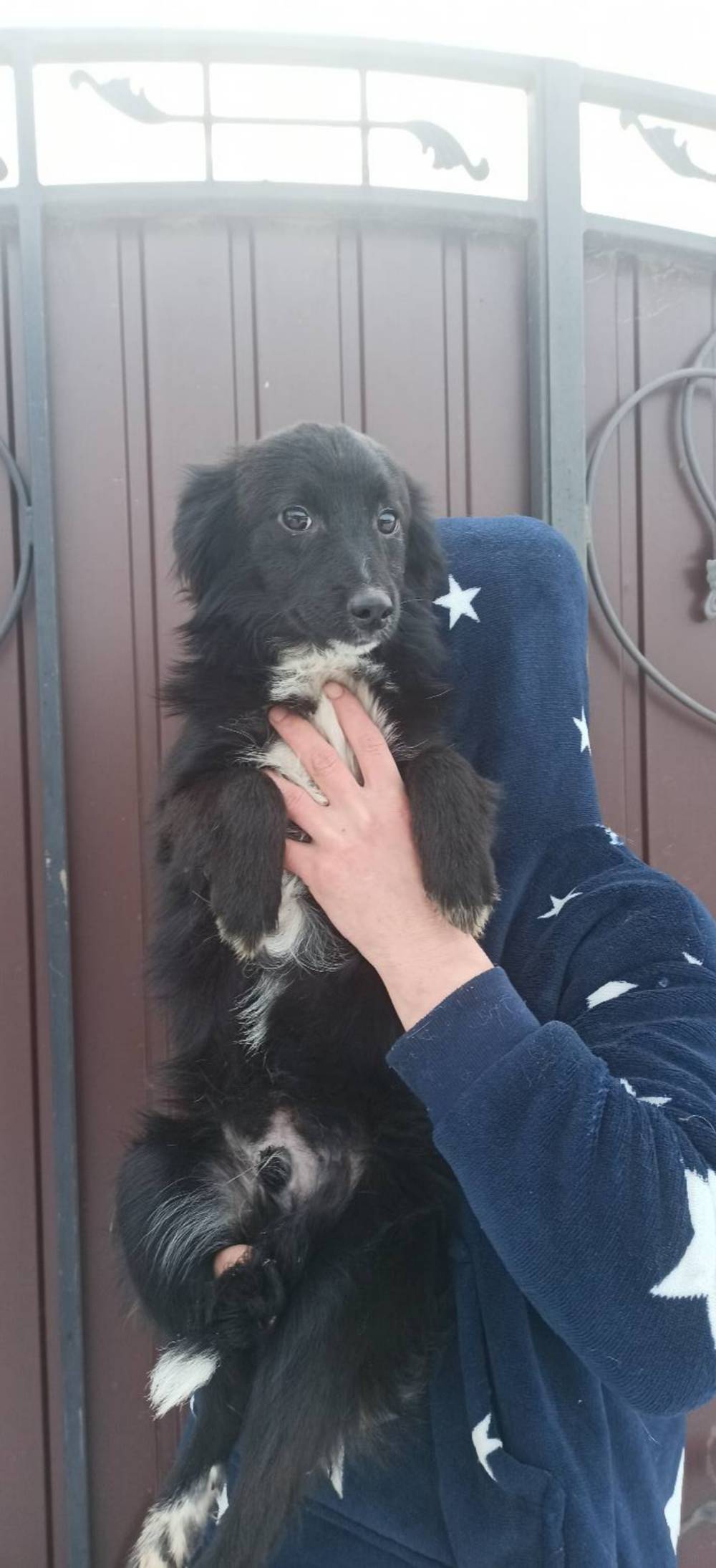 з Нікополя 5