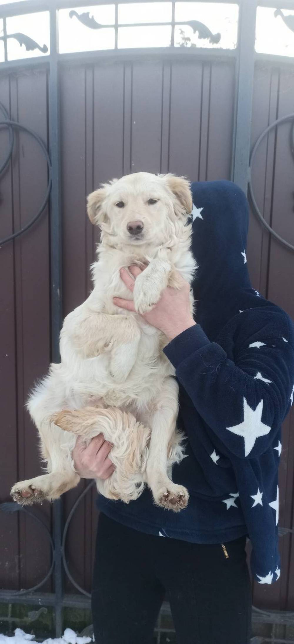 з Нікополя 6