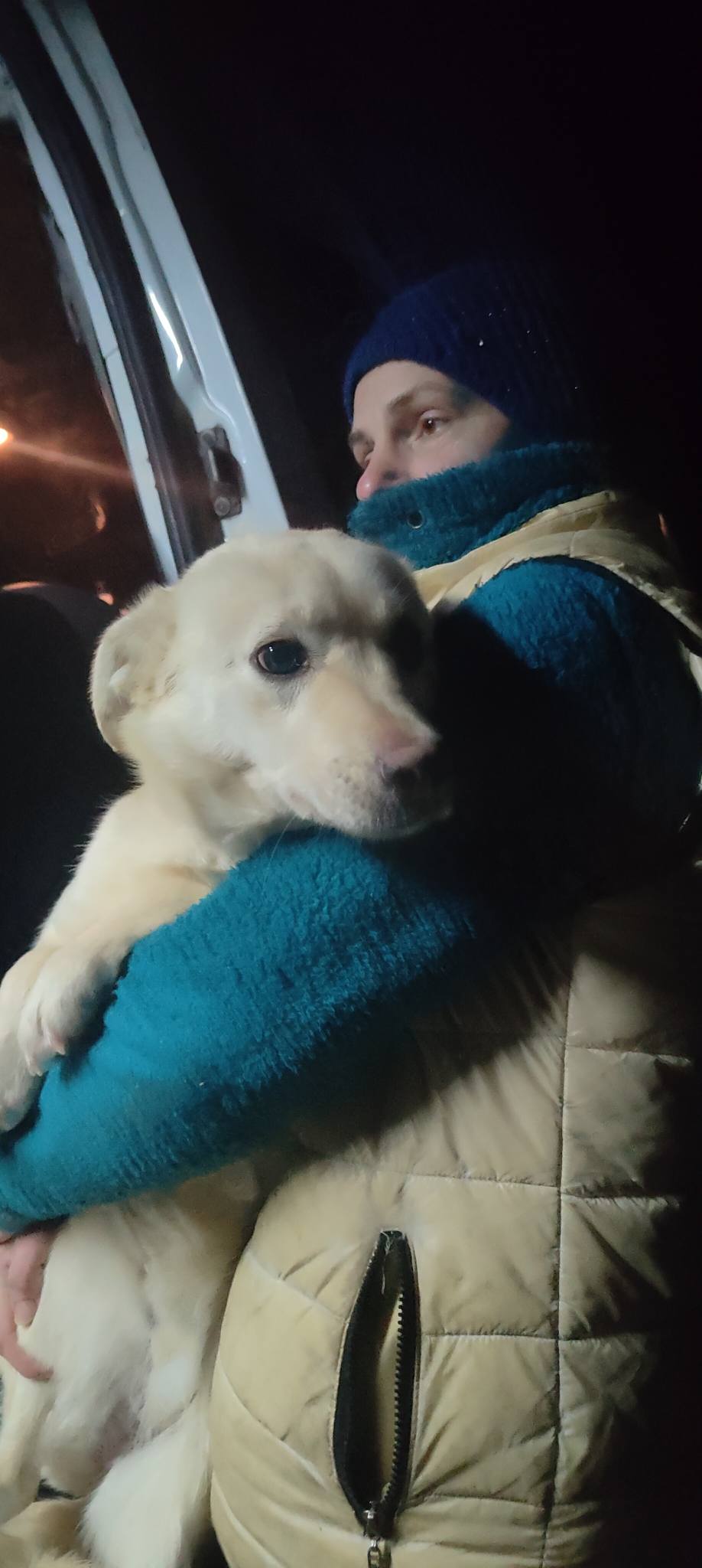 з Нікополя 9