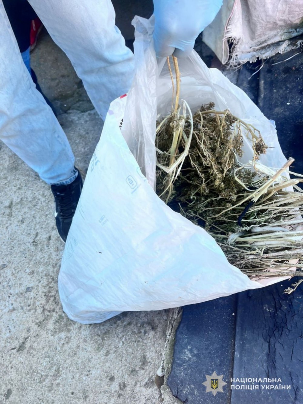 житель Нікополя