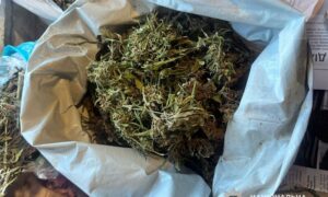 житель Нікополя 2