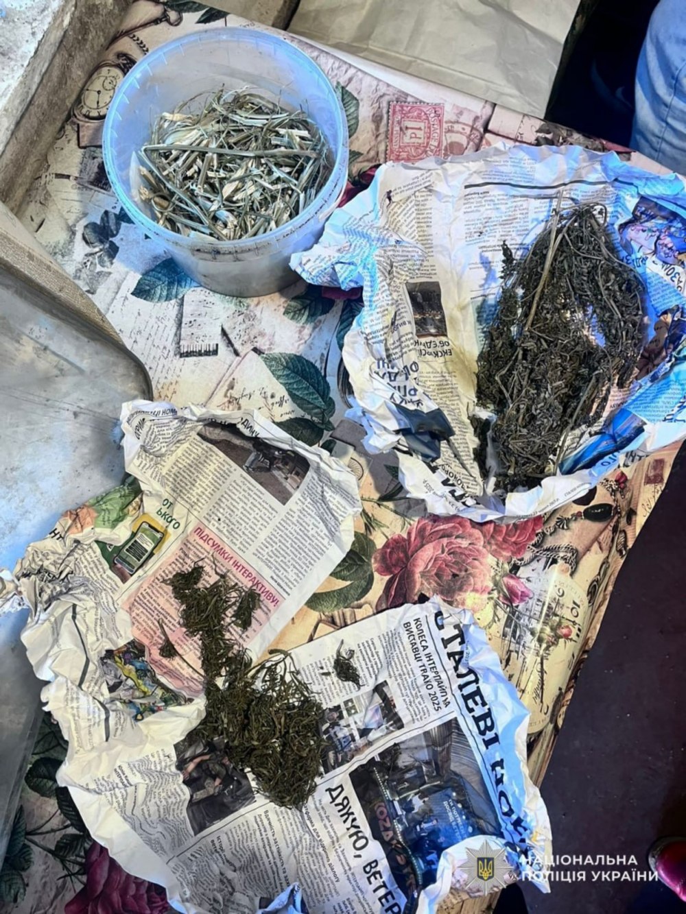 житель Нікополя 4