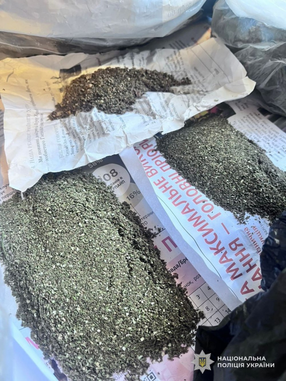 житель Нікополя 5