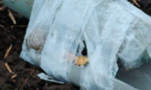 жителів Нікопольщини попередили про смертельно небезпечну