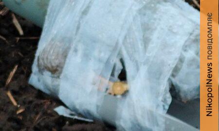 жителів Нікопольщини попередили про смертельно небезпечну