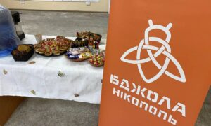 Допомога мешканцям Нікополя від ГО «Бджола Нікополь»: як подати заявку