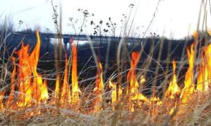 До 21 420 грн: мешканцям Нікополя нагадали про штрафи за спалювання сухої рослинності