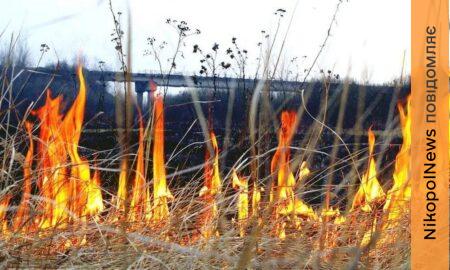 До 21 420 грн: мешканцям Нікополя нагадали про штрафи за спалювання сухої рослинності