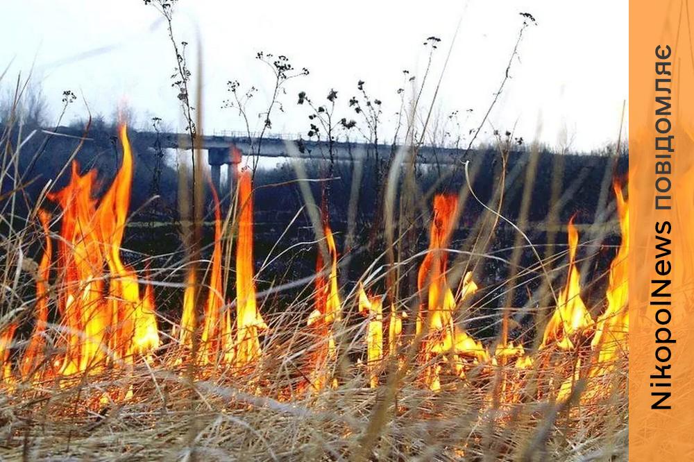 До 21 420 грн: мешканцям Нікополя нагадали про штрафи за спалювання сухої рослинності 1 До 21 420 грн: мешканцям Нікополя нагадали про штрафи за спалювання сухої рослинності