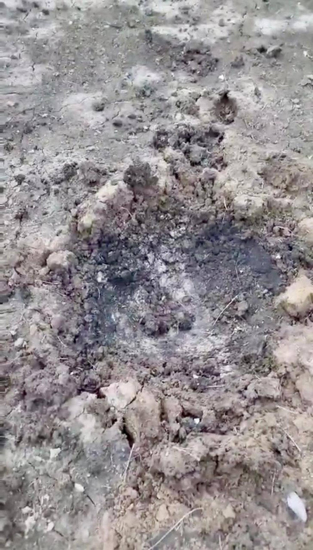 649198561 2769576163217492 2321854113551755428 n