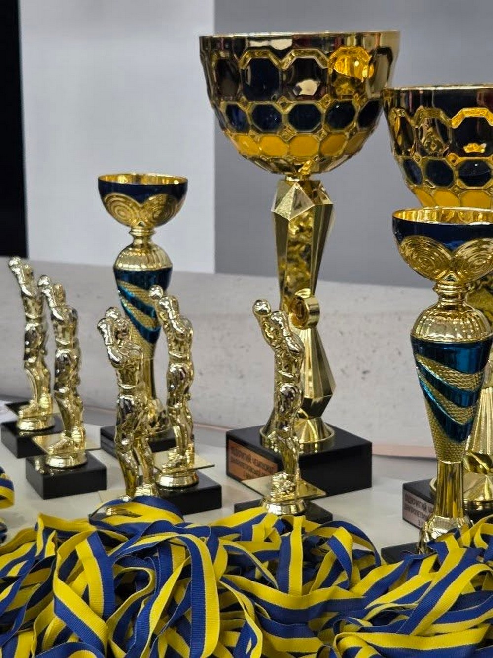 Тайбоксери Покрова вибороли 14 медалей на відкритому Чемпіонаті Дніпропетровської області (фото)