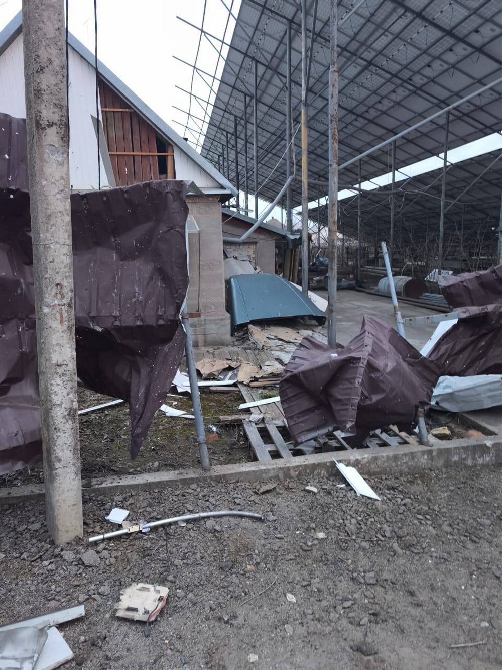 653819099 2777919069049868 8678416358923644155 n