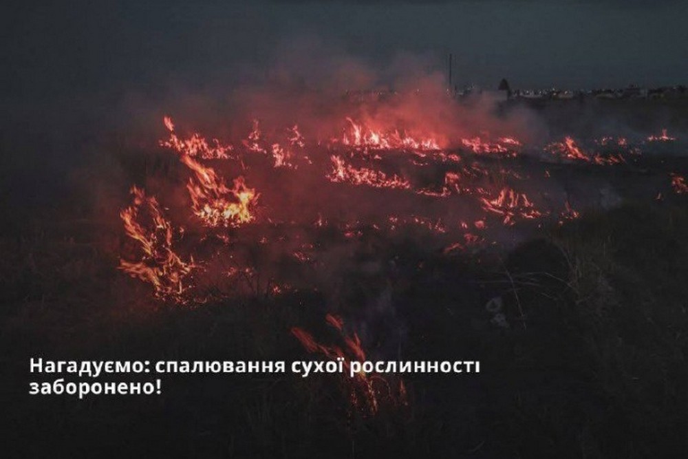 До 21 420 грн: мешканцям Нікополя нагадали про штрафи за спалювання сухої рослинності