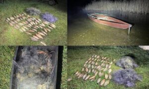 100 тисяч грн збитків за 8,8 кг риби: біля Нікополя виявили рибалку-браконьєра