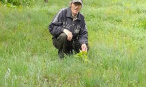 Під гуркіт канонади мешканець Нікопольщини веде свою «зелену війну» - вже 200 нових надій