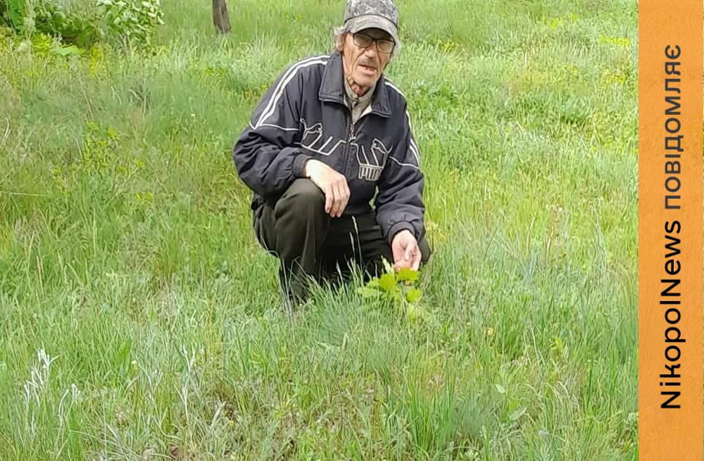Під гуркіт канонади мешканець Нікопольщини веде свою «зелену війну» - вже 200 нових надій 2 Під гуркіт канонади мешканець Нікопольщини веде свою «зелену війну» - вже 200 нових надій