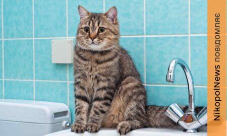 Аварія: у Нікополі 7 березня відключили воду в одному з районів