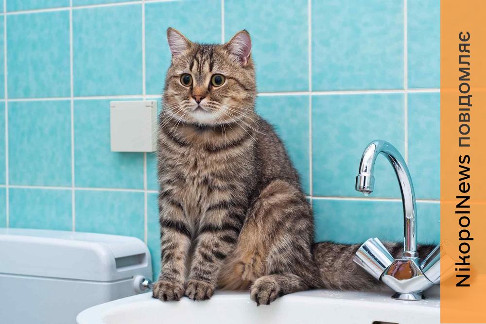 Аварія: у Нікополі 7 березня відключили воду в одному з районів 1 Аварія: у Нікополі 7 березня відключили воду в одному з районів