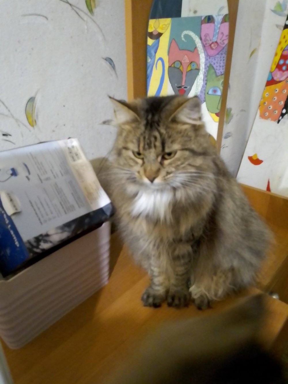 Дівчинка 3 роки 1