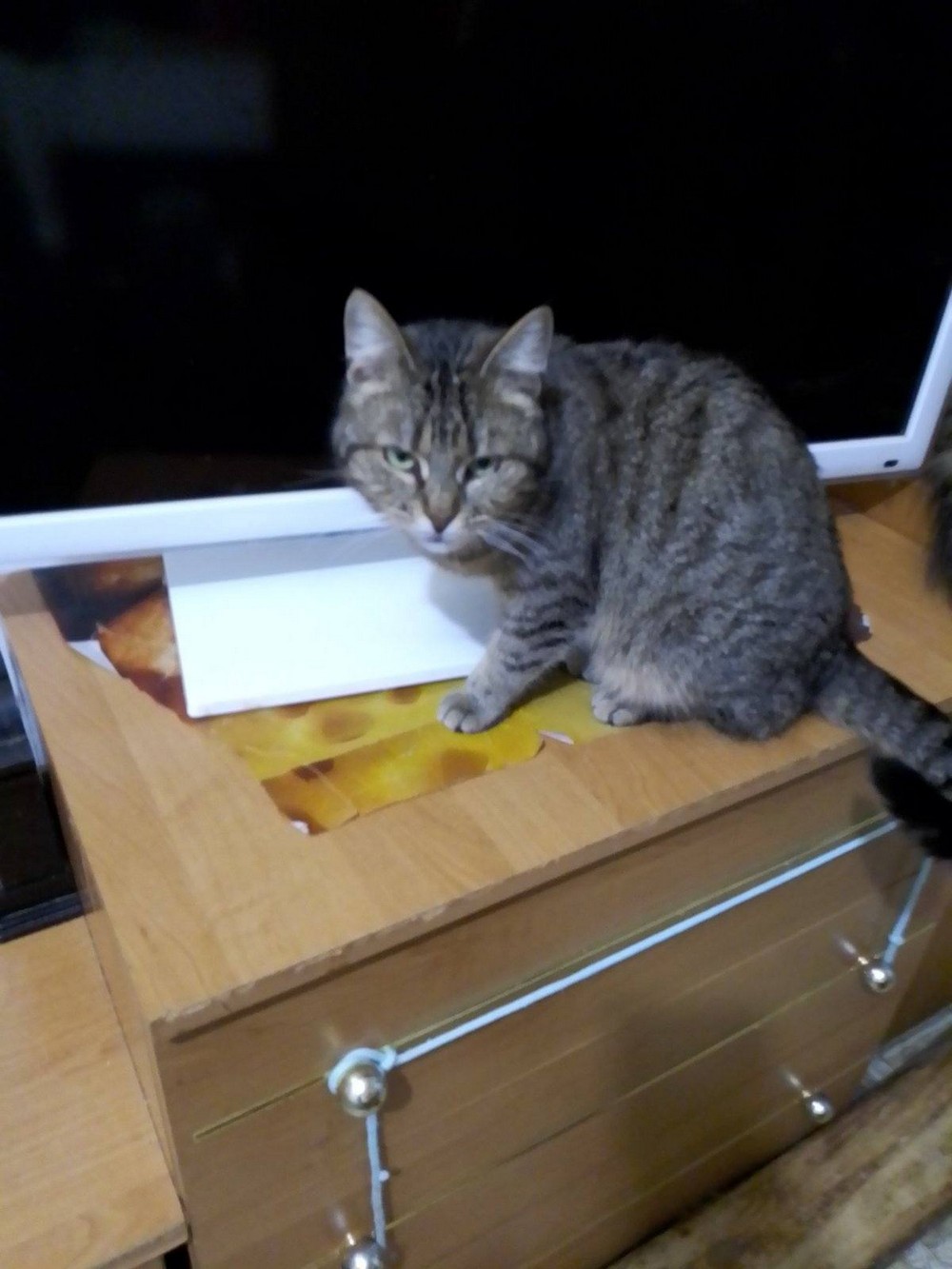 Дівчинка 3 роки 2