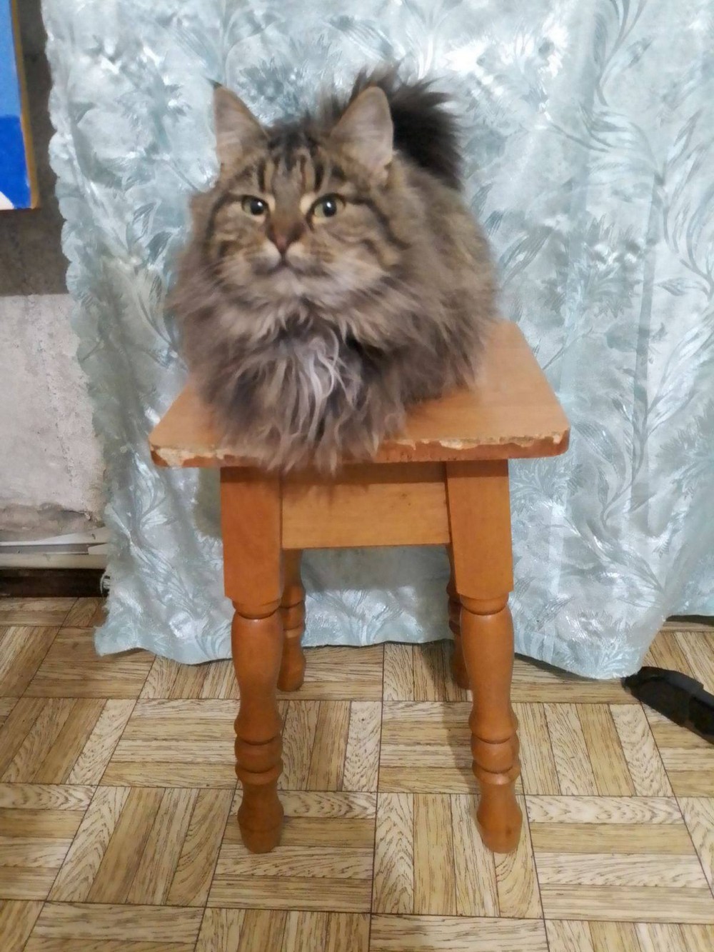 Дівчинка 3 роки