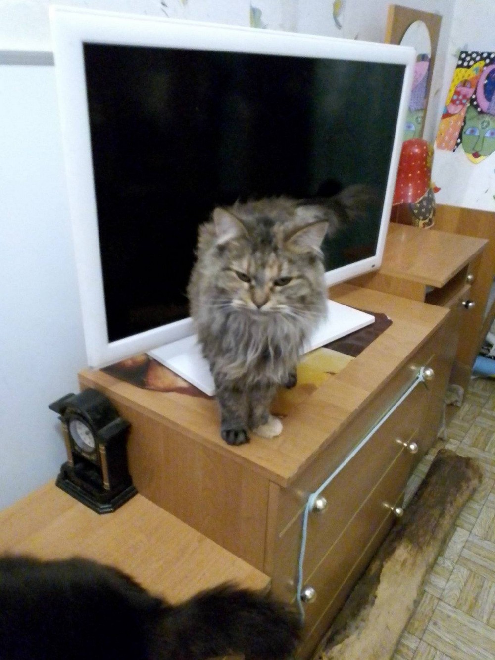 Дівчинка 4 роки 1