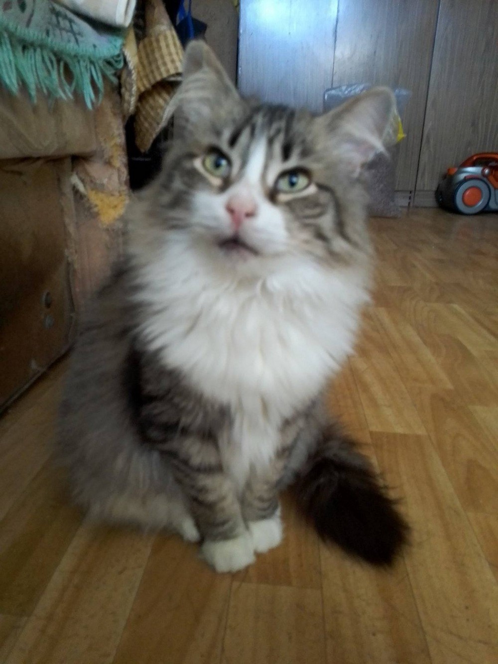 Дівчинка 4 роки