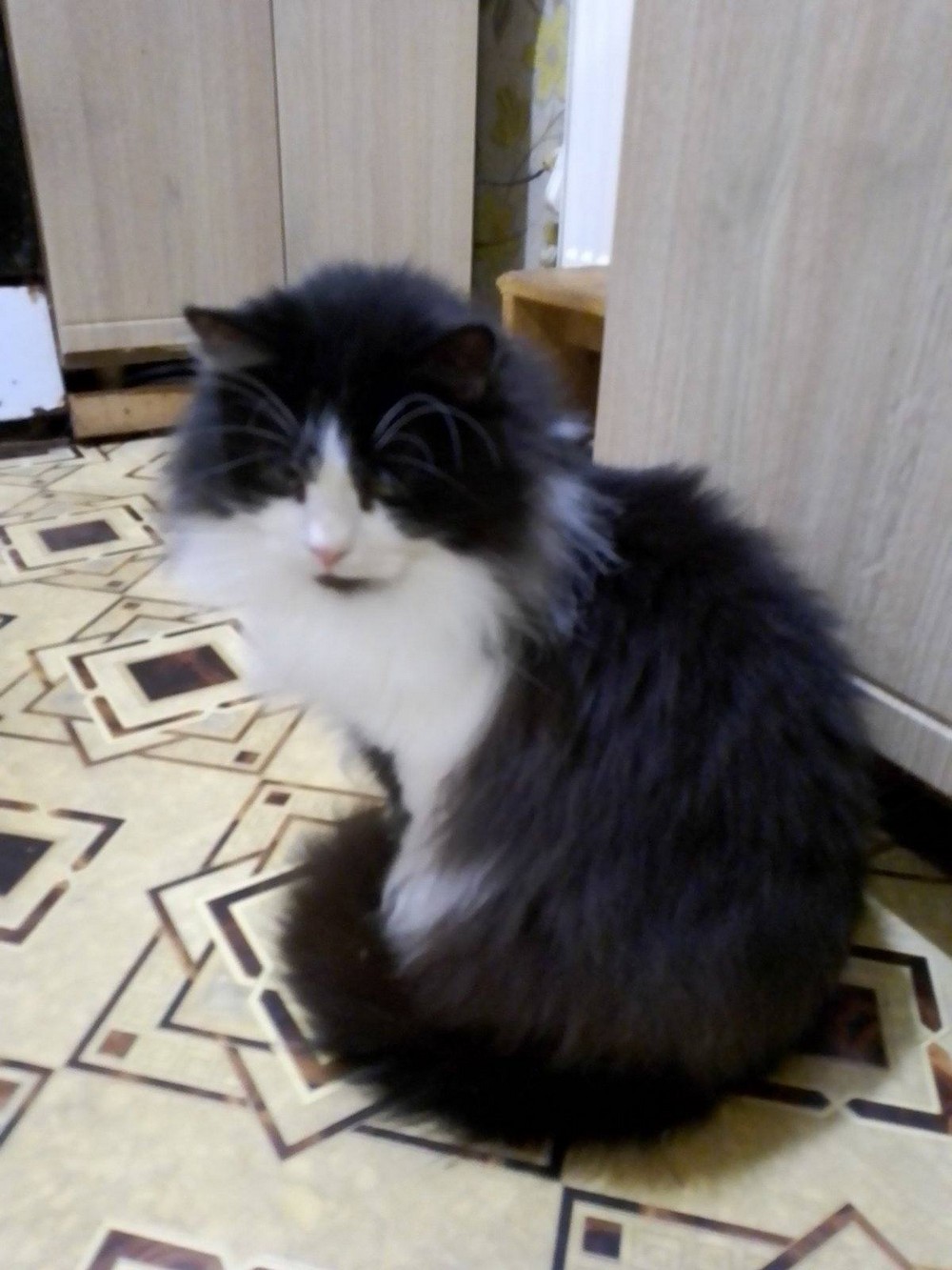 Дівчинка 4роки