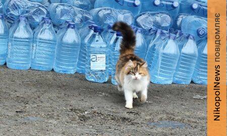 Гуманітарна допомога на Нікопольщині 6