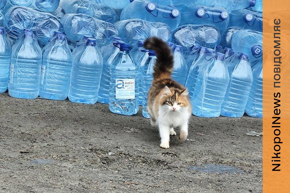 Гуманітарна допомога на Нікопольщині 6