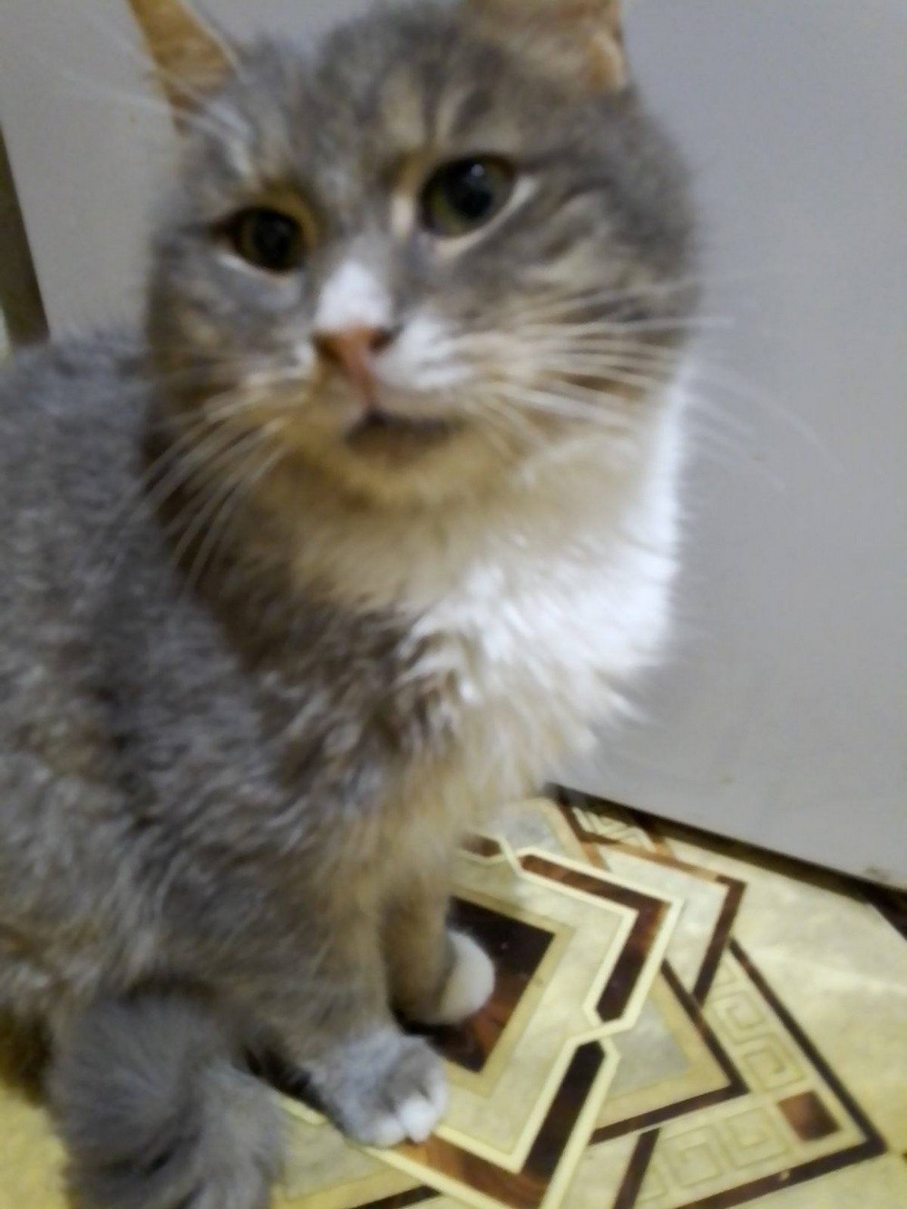 Хлопчик 4,5 роки 1