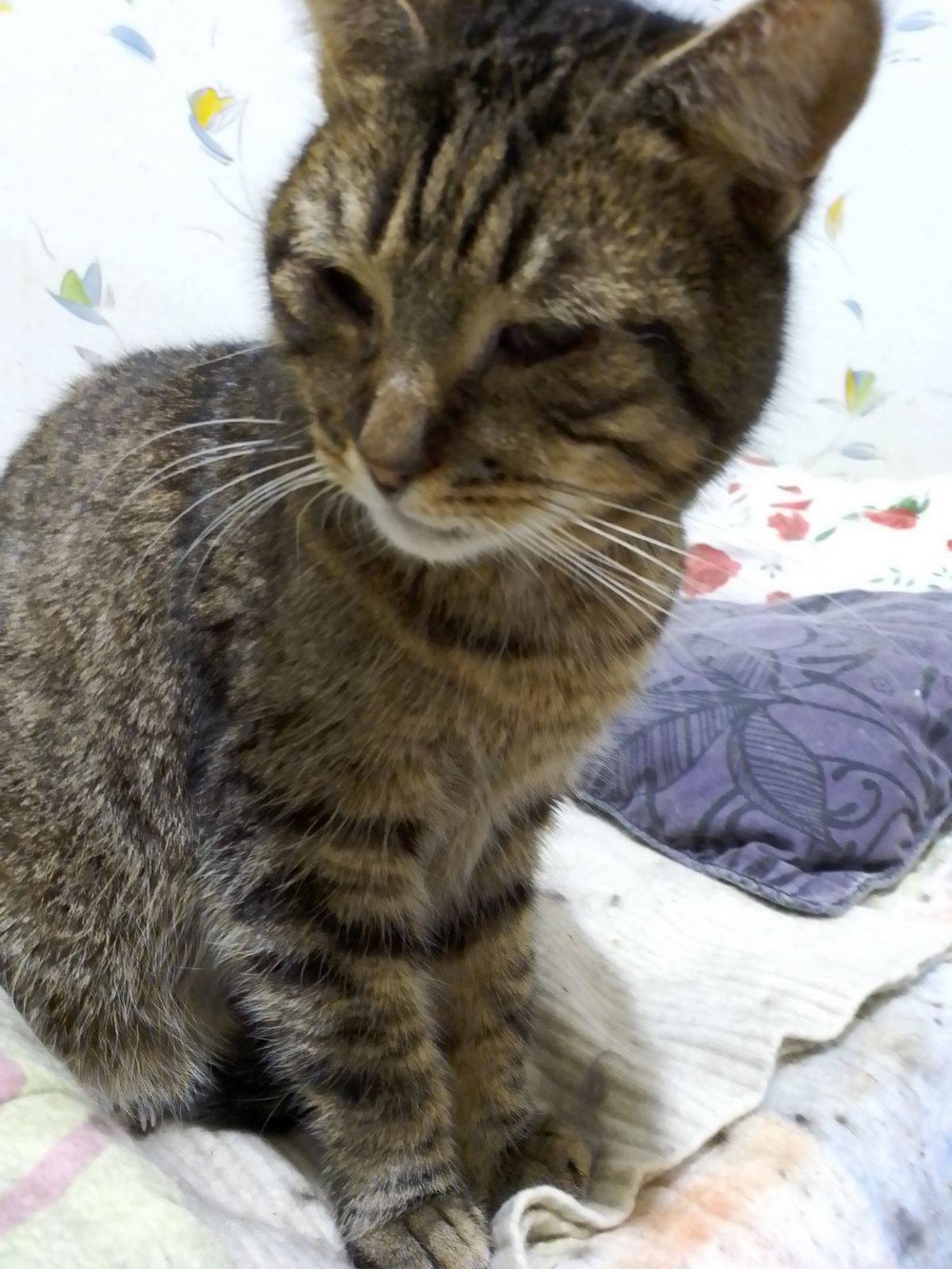 Хлопчик 5 років 1