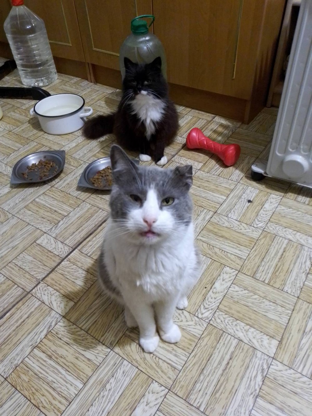 Хлопчик 5 років