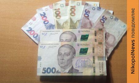 Грошова допомога на Нікопольщині: як отримати 42000 грн, розкажуть 31 березня у Мирівській громаді