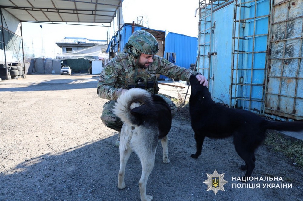 Нікополь сьогодні 9